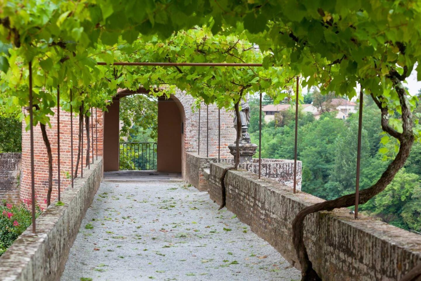 Appartement Albi Parking Gratuit Exteriér fotografie